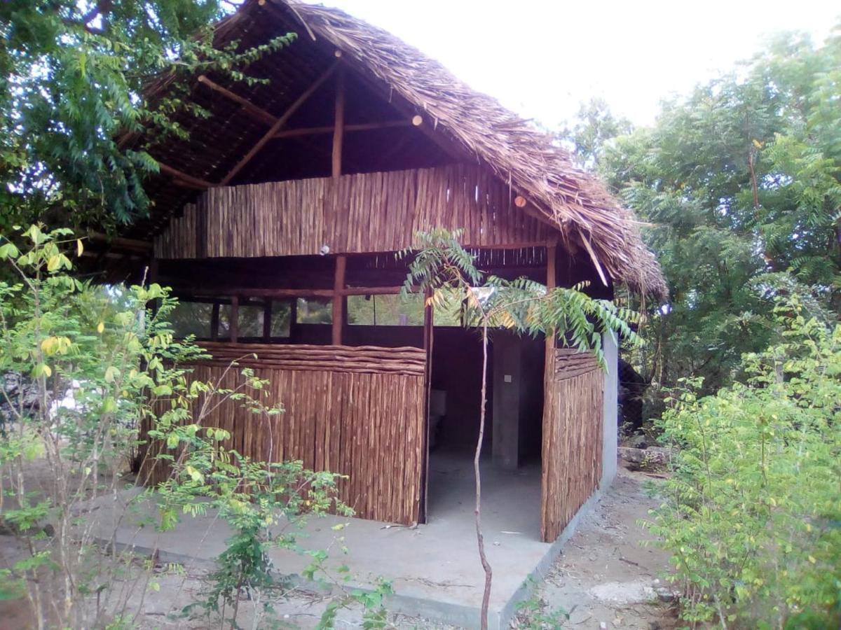 مبيت وإفطار واتامو Mangrove View المظهر الخارجي الصورة