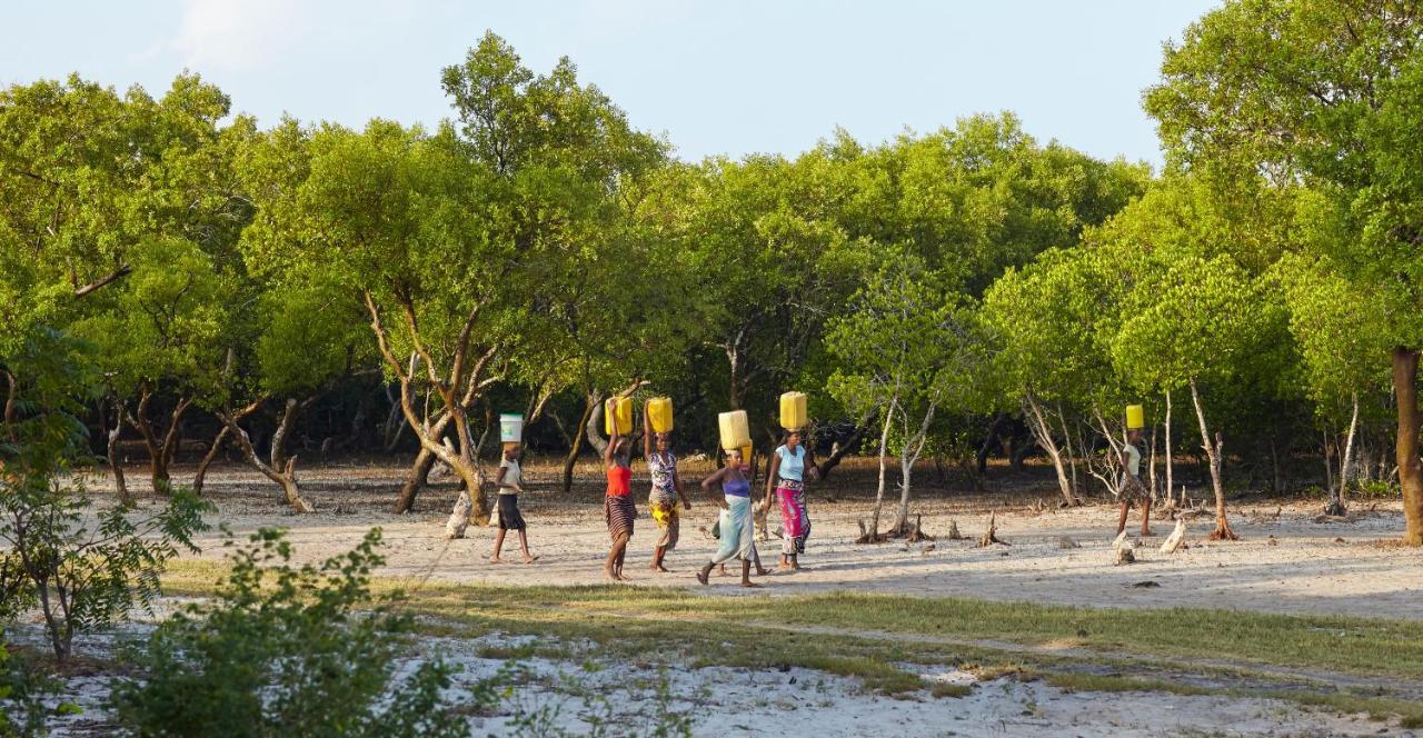 مبيت وإفطار واتامو Mangrove View المظهر الخارجي الصورة